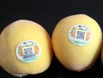 產品溯源二維碼